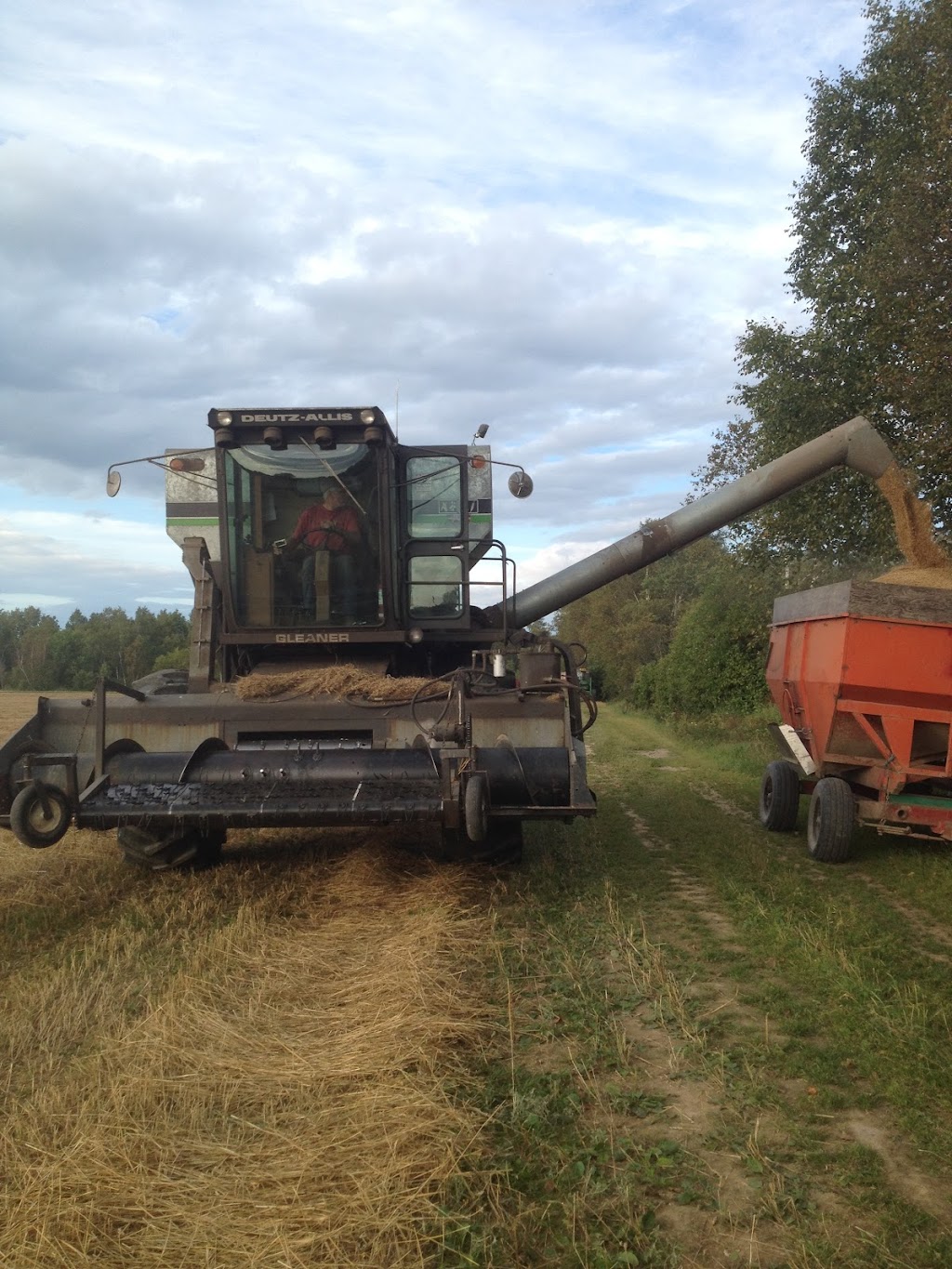 Ferme du loup inc | 380 Rang St Ernest, Saint-Alexandre-de-Kamouraska, QC G0L 2G0, Canada | Phone: (418) 866-0701