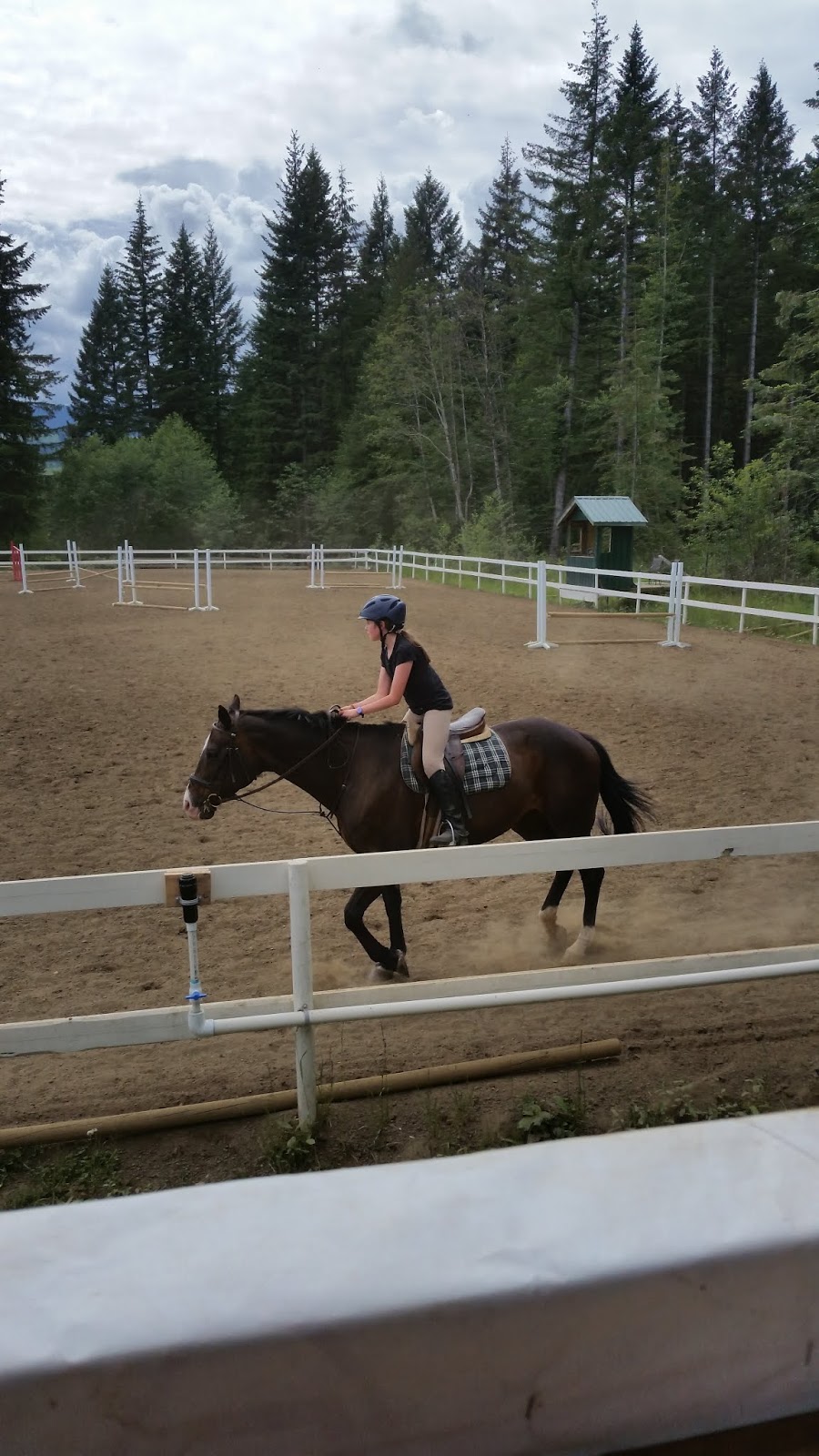 Sprout Meadow Stables | 3583 Dove Creek Rd, Courtenay, BC V9J 1R9, Canada | Phone: (250) 650-6218