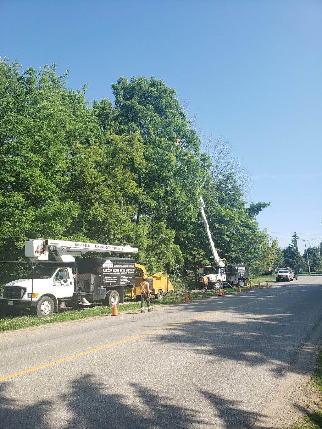 Rayzor Edge Tree Service | 1693 Durst Rd, St. Jacobs, ON N0B 2N0, Canada | Phone: (519) 503-9829