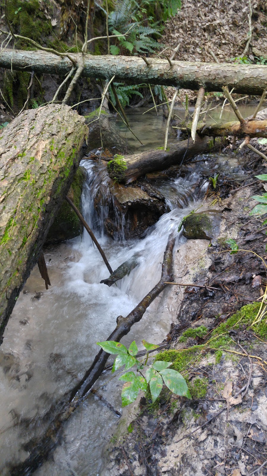 St. Williams Conservation Reserve - Turkey Point Tract | Regional Road 10, St Williams, ON N0E 1P0, Canada