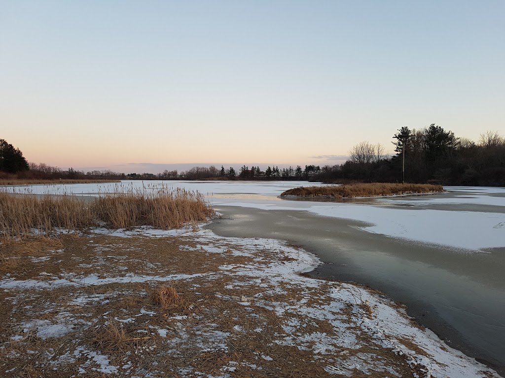 Tyneside Trail -Stargazing | Tyneside Trail, Mount Hope, ON L0R 1W0, Canada