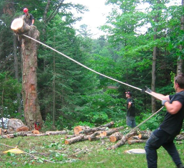 Arboriculture P.L.Lavoie. Élagage Émondage | 2225 route 125 Sud, Saint-Donat, QC J0T 2C0, Canada | Phone: (819) 507-0075