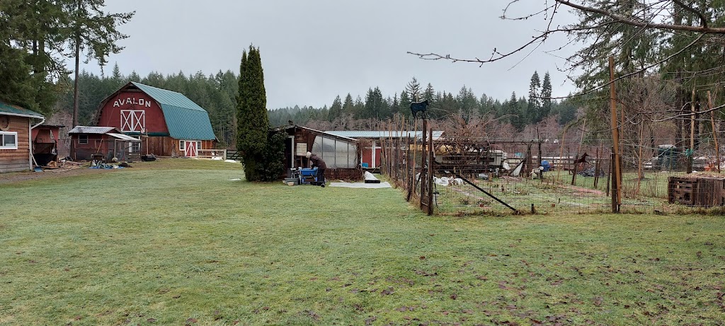 Avalon Blueberry Farm | 8286 Faber Rd, Port Alberni, BC V9Y 9B4, Canada | Phone: (250) 724-6821