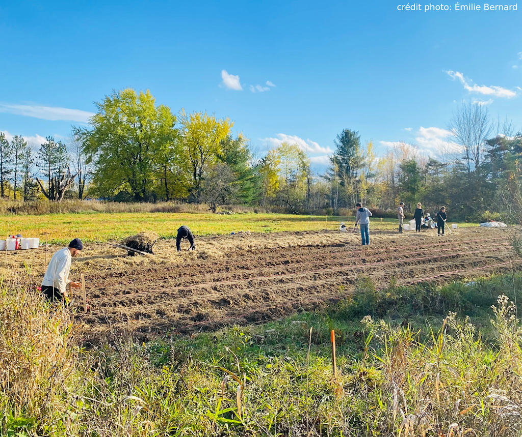 Ferme les Siffleux | 33 Chem. de Dunham, Frelighsburg, QC J0J 1C0, Canada | Phone: (514) 647-7289