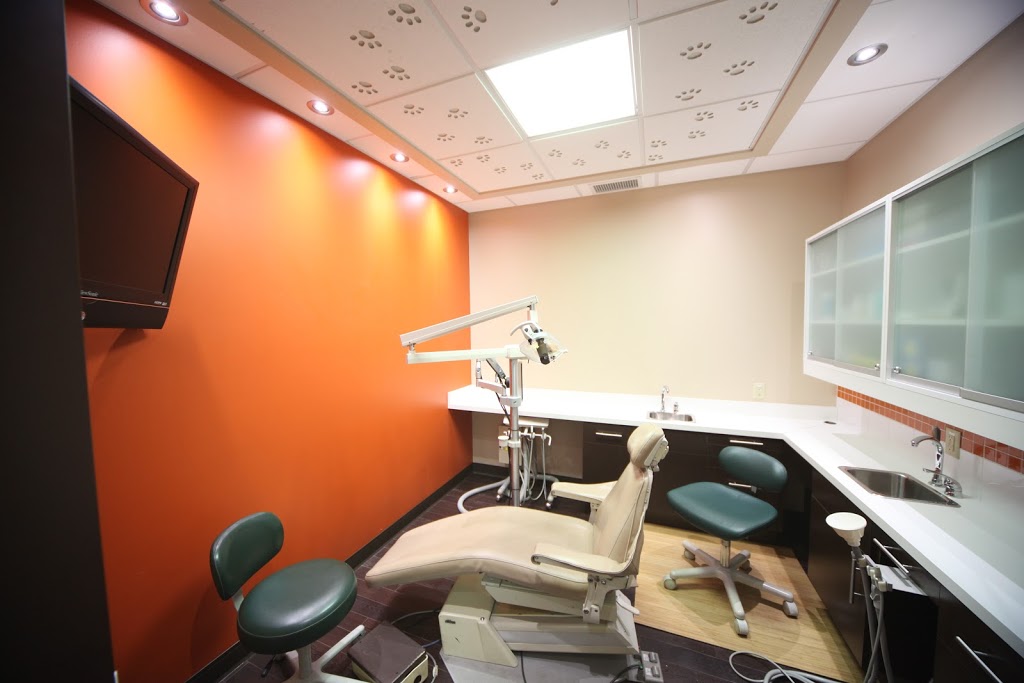 Illuminada Dental Centre | 11911 Jasper Ave, Edmonton, AB T5K 0P1, Canada | Phone: (780) 488-5828