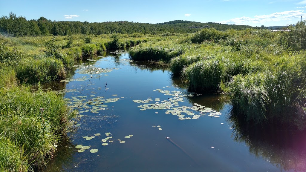 Fielding Bird Sanctuary | Sudbury, ON P3E 5S3, Canada