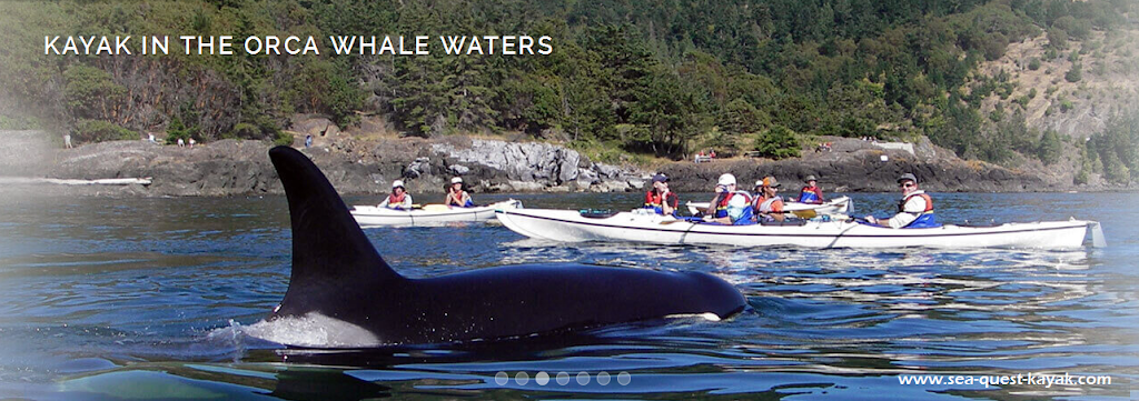 Sea Quest Kayak Tours | 2 Front St, Friday Harbor, WA 98250, USA | Phone: (360) 378-5767