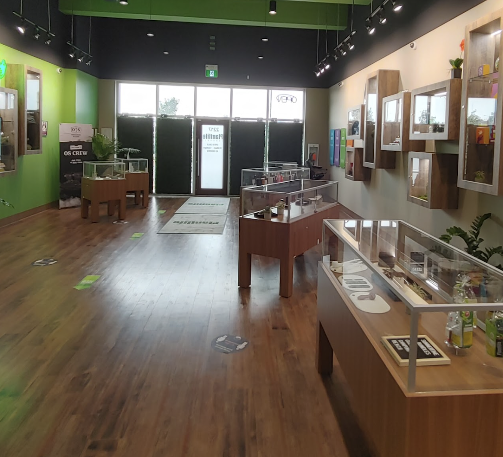 Plantlife Cannabis (South Edmonton Common) | 2217 101 St NW, Edmonton, AB T6N 1K1, Canada | Phone: (587) 523-4433