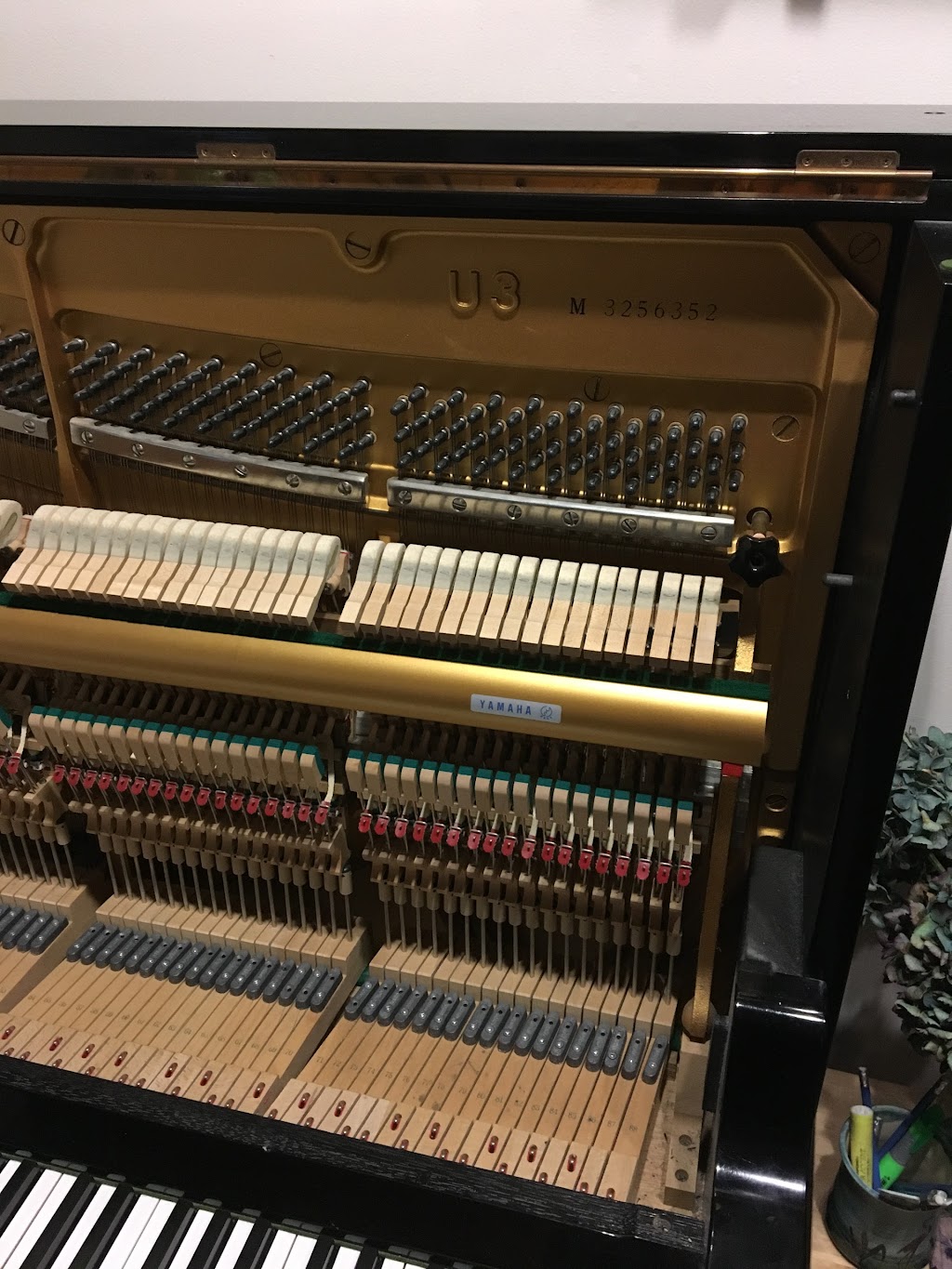Bob Steel Piano Tuner | 4727 Pheasant Pl, North Vancouver, BC V7R 4G4, Canada | Phone: (604) 980-7822