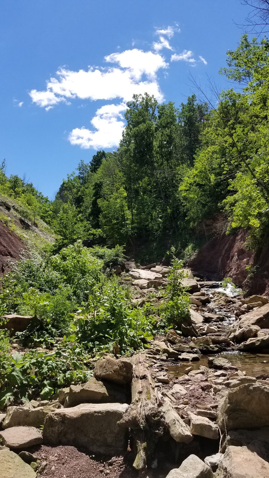 Lower Westcliffe/Lower Cliffview Falls | Chedoke Park B, Hamilton, ON L9C 5B5, Canada