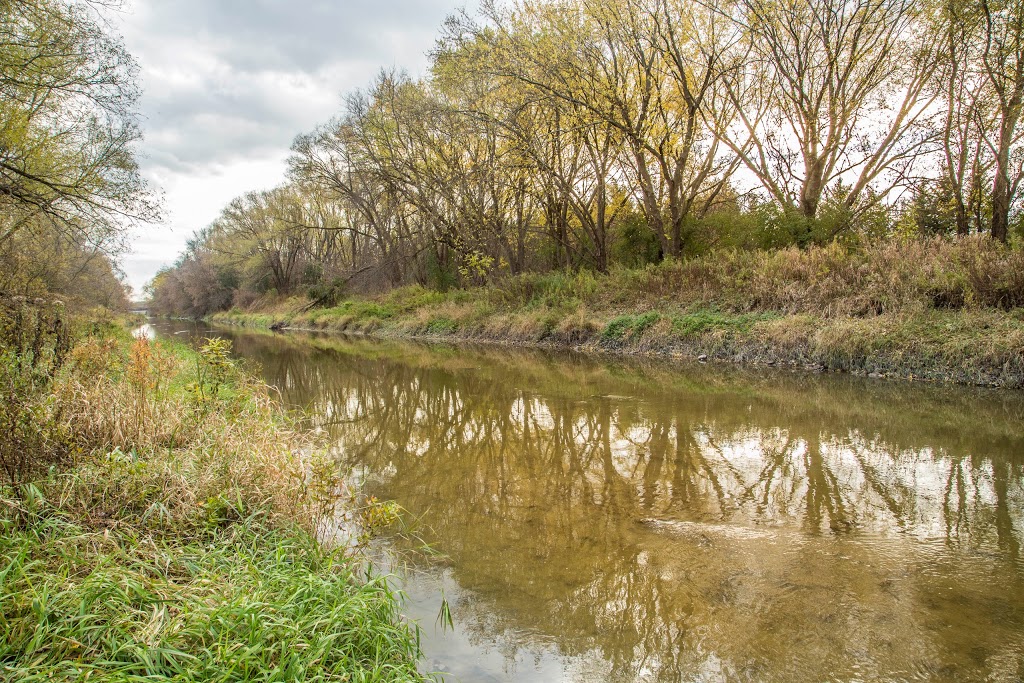 Rogers Reservoir Conservation Area | 2nd Concession Rd, East Gwillimbury, ON L3Y, Canada | Phone: (905) 895-1281