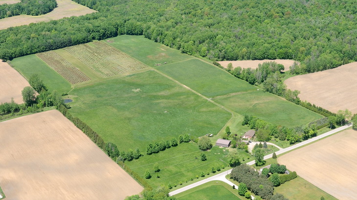 Olde Drive Blueberry Farm | 8348 Olde Dr, Mount Brydges, ON N0L 1W0, Canada | Phone: (519) 933-4648