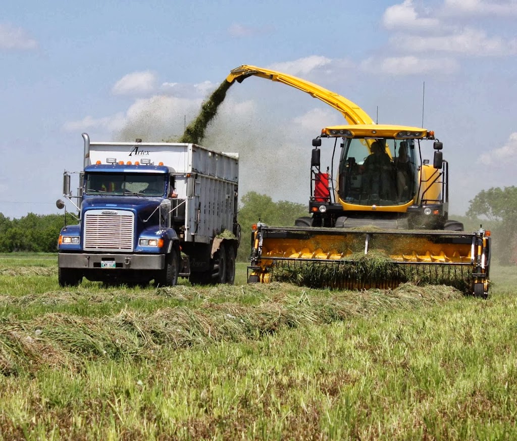 Skyline Harvest | 40035 Rd 31E, Blumenort, MB R0A 0C1, Canada | Phone: (204) 346-9060