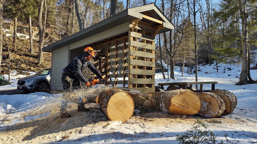 Muskoka Tree Solutions Inc. | Millar Hill Rd, Huntsville, ON P1H 2J6, Canada | Phone: (705) 388-8733