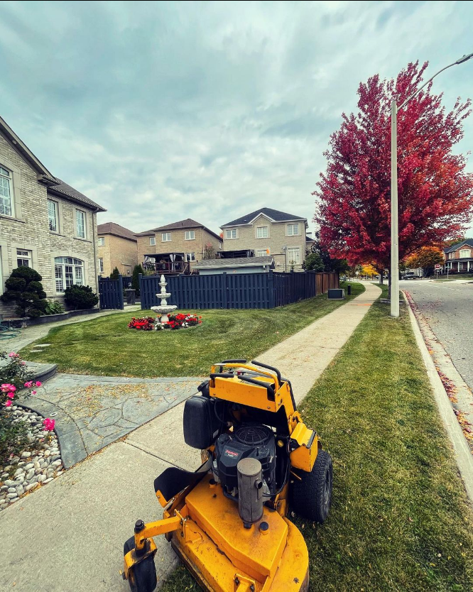 Absolute Lawn | 485 Meadows Blvd, Mississauga, ON L4Z 1H1, Canada | Phone: (647) 901-5102