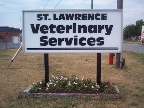 St Lawrence Veterinary Services | 40 Rigney St, Kingston, ON K7K 6Z2, Canada | Phone: (613) 546-1747