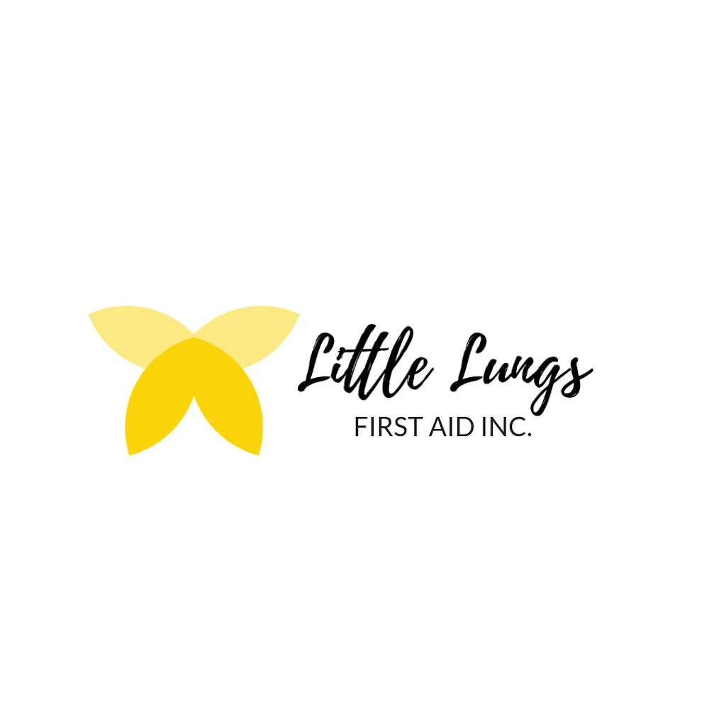 Little Lungs to Big Hearts First Aid | 9664 106 Ave NW #305, Edmonton, AB T5H 0N4, Canada | Phone: (587) 557-1065