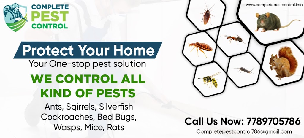AAA Complete Pest Control | 9858 150 St, Surrey, BC V3R 8H2, Canada | Phone: (778) 970-5786