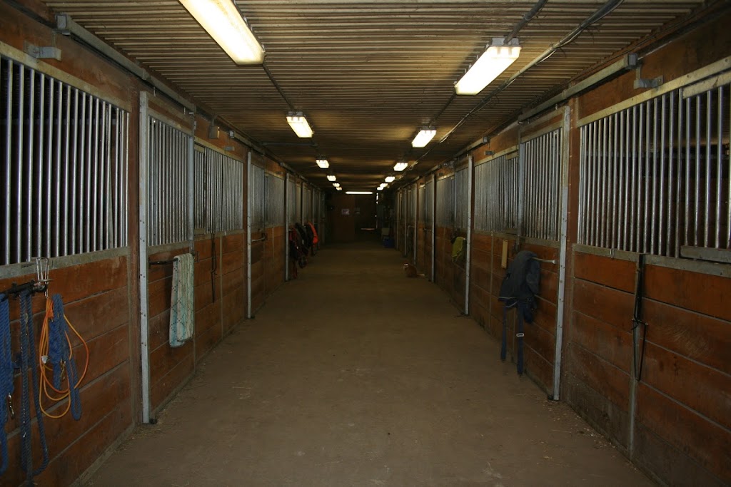 Charmed Stables | 578 Brown Rd, Enterprise, ON K0K 1Z0, Canada | Phone: (613) 358-9058