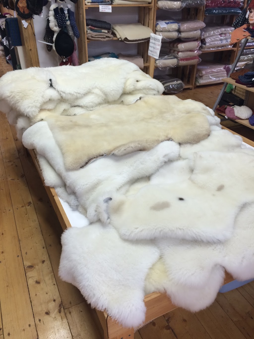 Lismore Sheep Farm & Wool Shop | 1389 Louisville Rd, River John, NS B0K 1N0, Canada | Phone: (902) 351-2594