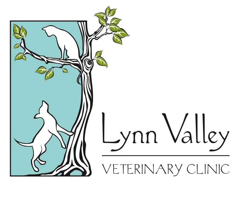 Lynn Valley Veterinary Clinic Ltd | 1254 Lynn Valley Rd, North Vancouver, BC V7J 2A3, Canada | Phone: (604) 980-0584