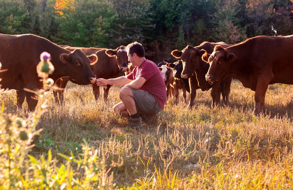 Les Fermes Valens Inc. | 62 Rue York, Huntingdon, QC J0S 1H0, Canada | Phone: (450) 264-4061