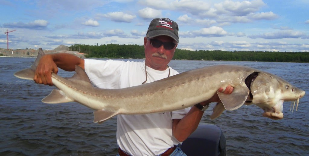 Whiskers & Walleye with Bass | 6940 Henderson Hwy, Lockport, MB R1B 1A5, Canada | Phone: (204) 990-2171