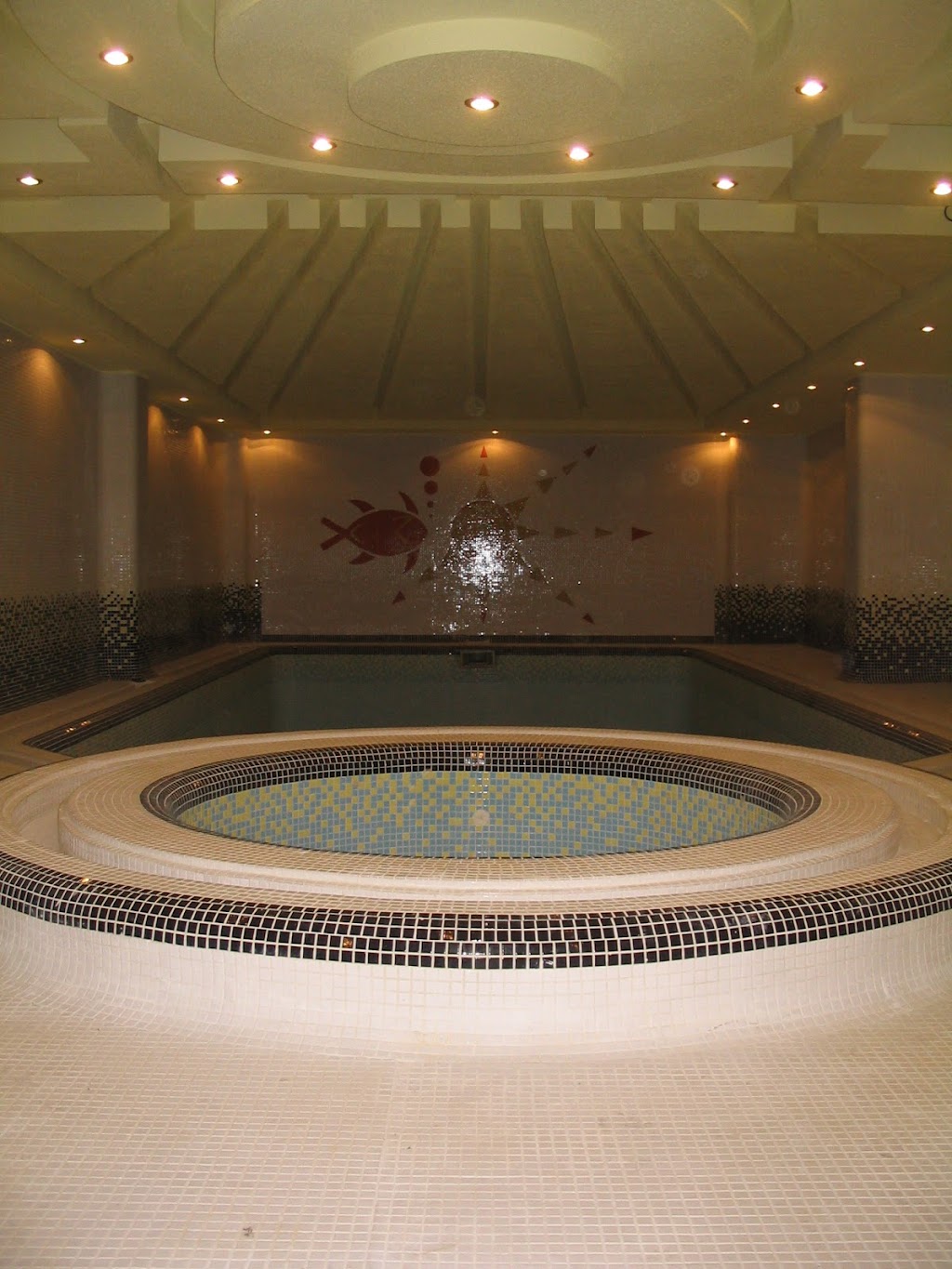 Queen Pools and Spas Inc. | 10 Benville Crescent, Aurora, ON L4G 7K3, Canada | Phone: (905) 895-5557