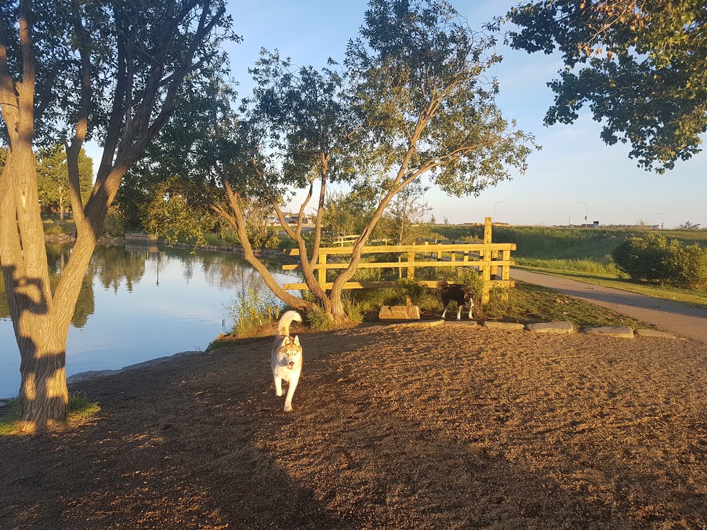 Lacombe Lake Dog Park | 151 McKenney Ave, St. Albert, AB T8N 2T7, Canada | Phone: (780) 458-7700