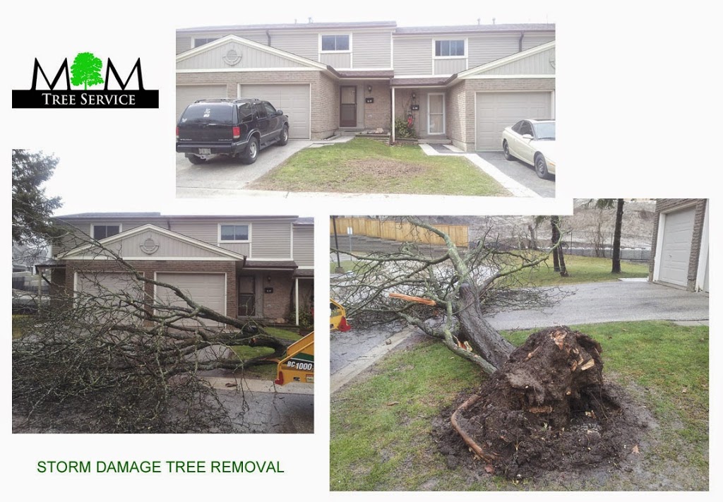 M & M Tree Service | 43 Washington St, Paris, ON N3L 2A6, Canada | Phone: (519) 752-4887