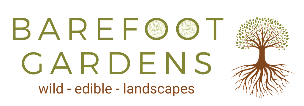 Barefoot Gardens | 2821 Maryport Ave, Cumberland, BC V0R 1S0, Canada | Phone: (604) 313-5007