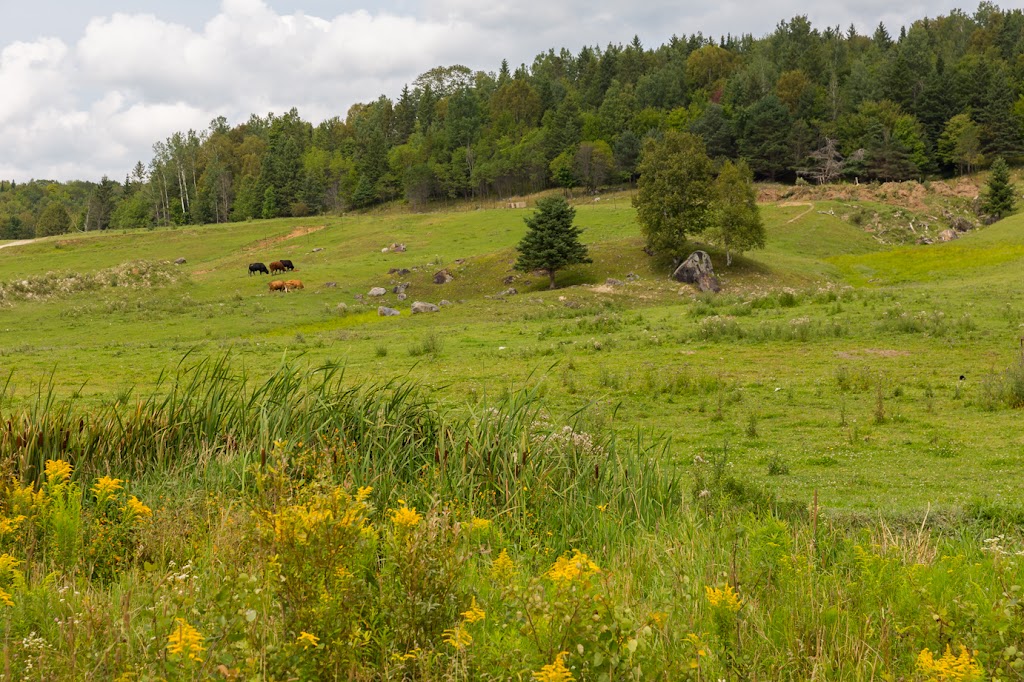 Ferme Nordest | 3816 Rte Eugène Trinquier, Mont-Laurier, QC J9L 3G4, Canada | Phone: (819) 623-5474