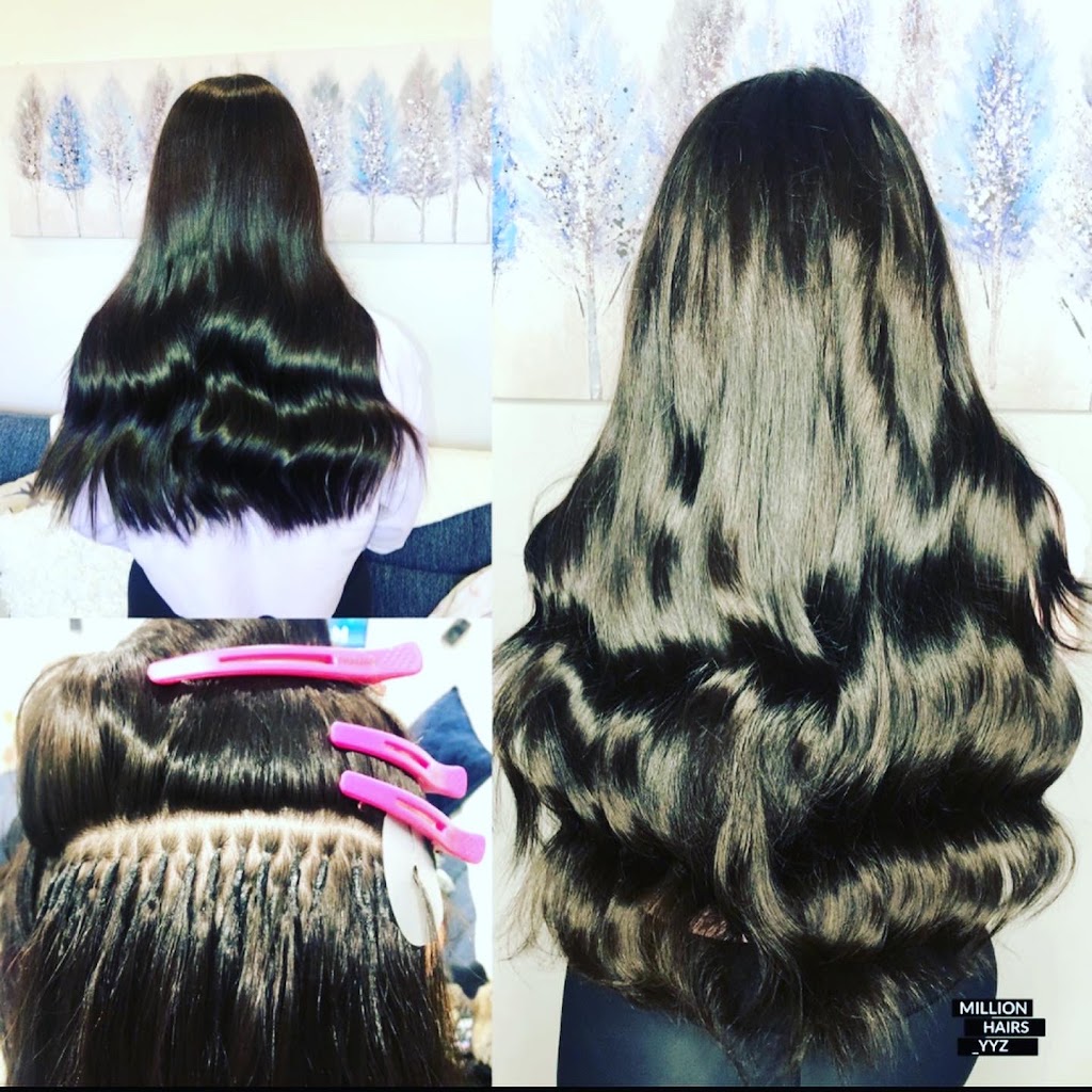 MillionHairs.ca | 4347 Simcoe St, Niagara Falls, ON L2E 1T5, Canada | Phone: (416) 333-7020