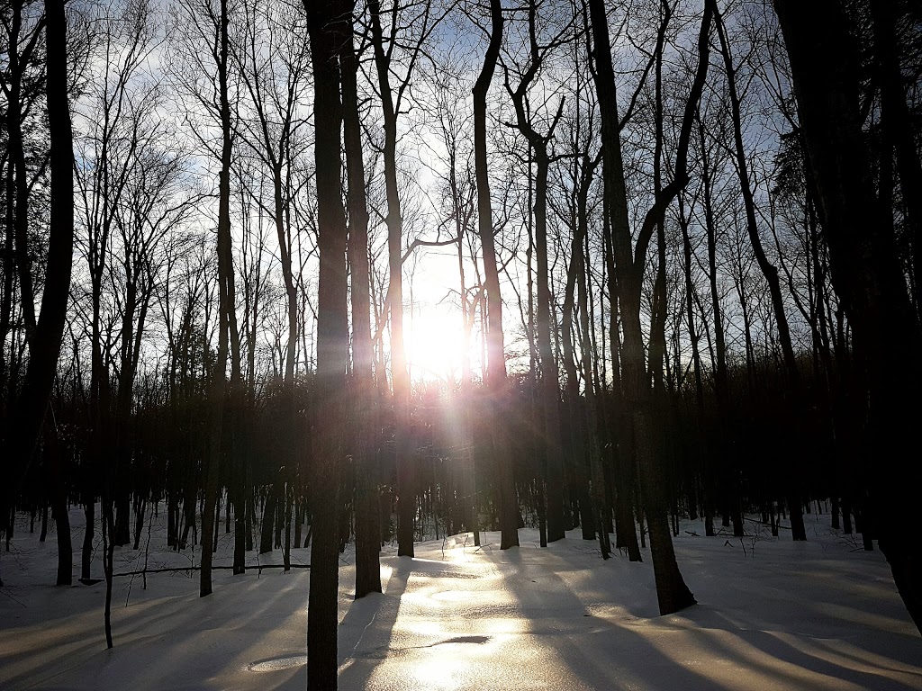 Bois de la Source | 1130 18e Av, Laval, QC H7R 4P6, Canada