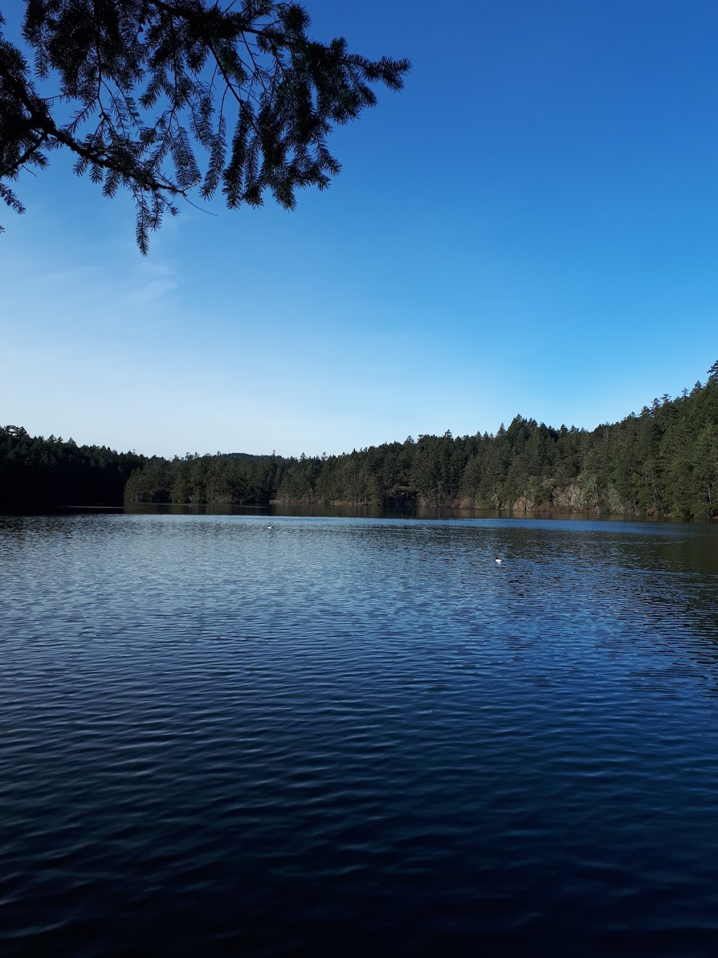 Thetis Lake Regional Park - Main Parking Lot | Six Mile Rd, View Royal, BC V9B, Canada