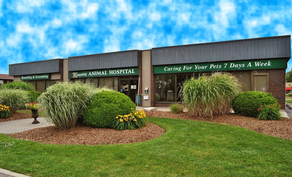 Kingsdale Animal Hospital | 2848 King St E, Kitchener, ON N2A 1A5, Canada | Phone: (519) 896-0532