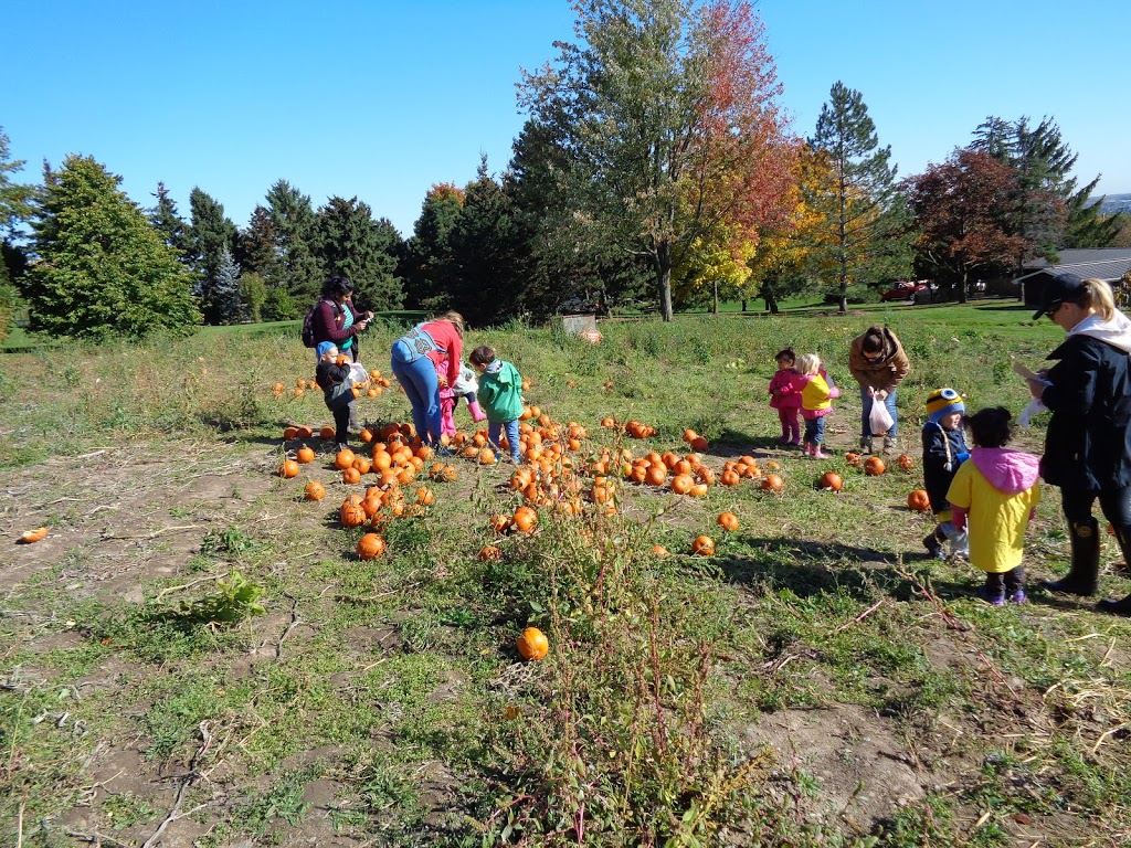 Little Kids Daycare Center | 2015 Kingsridge Dr #1, Oakville, ON L6M 4Y7, Canada | Phone: (905) 847-9911