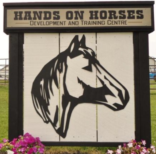 Hands On Horses Development and Training | 81567 CP Line, Goderich, ON N7A 3Y1, Canada | Phone: (519) 525-0100