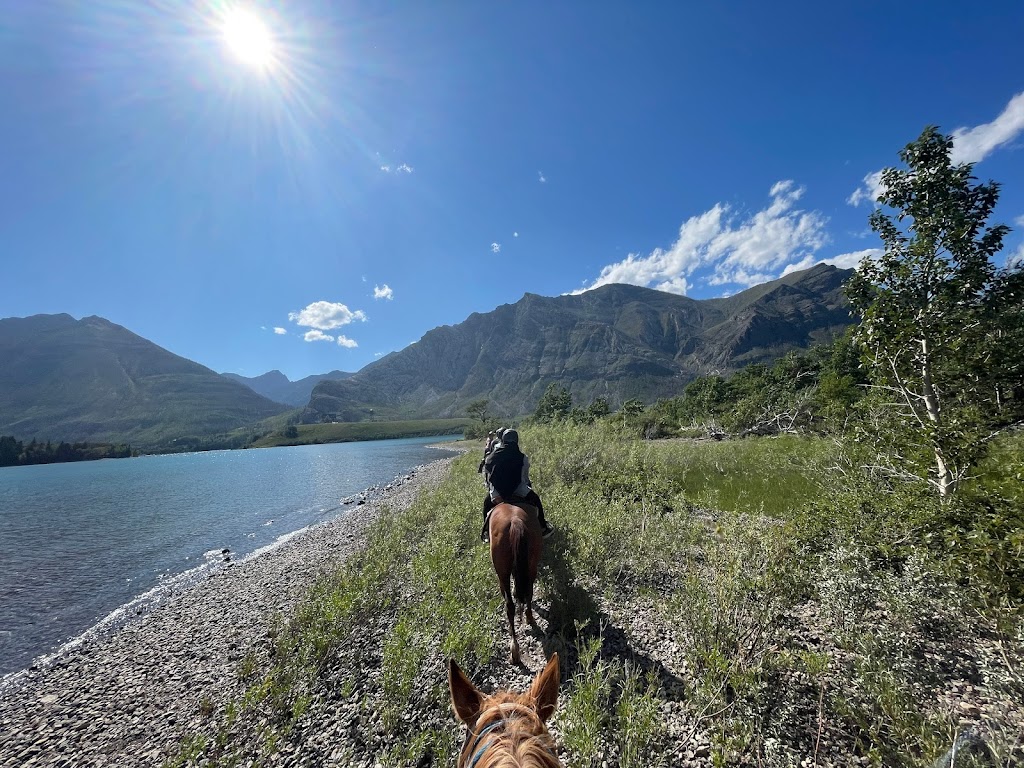 Alpine Stables Ltd | 1 marquis road, Waterton Park, AB T0K 2M0, Canada | Phone: (403) 859-2462