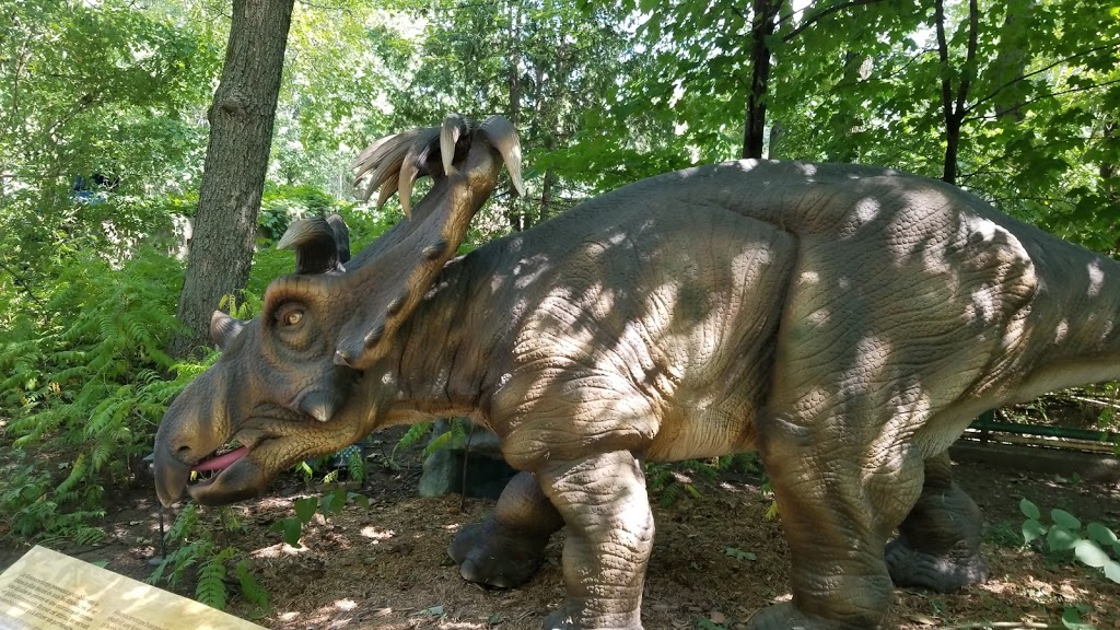 Jardin Zoologique De Granby | 461 Rue Laurier, Granby, QC J2G 5L8, Canada | Phone: (877) 472-6299