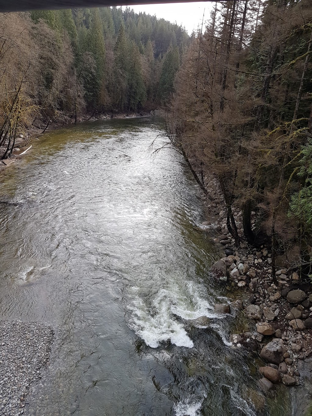 Fisherman’s Trail | Fishermans Trail, North Vancouver, BC V7H 2K6, Canada