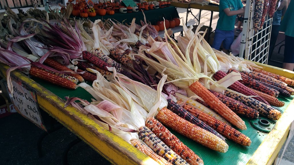 St George Apple Fest | 14 Main St S, Saint George, ON N0E 1N0, Canada | Phone: (519) 448-1344