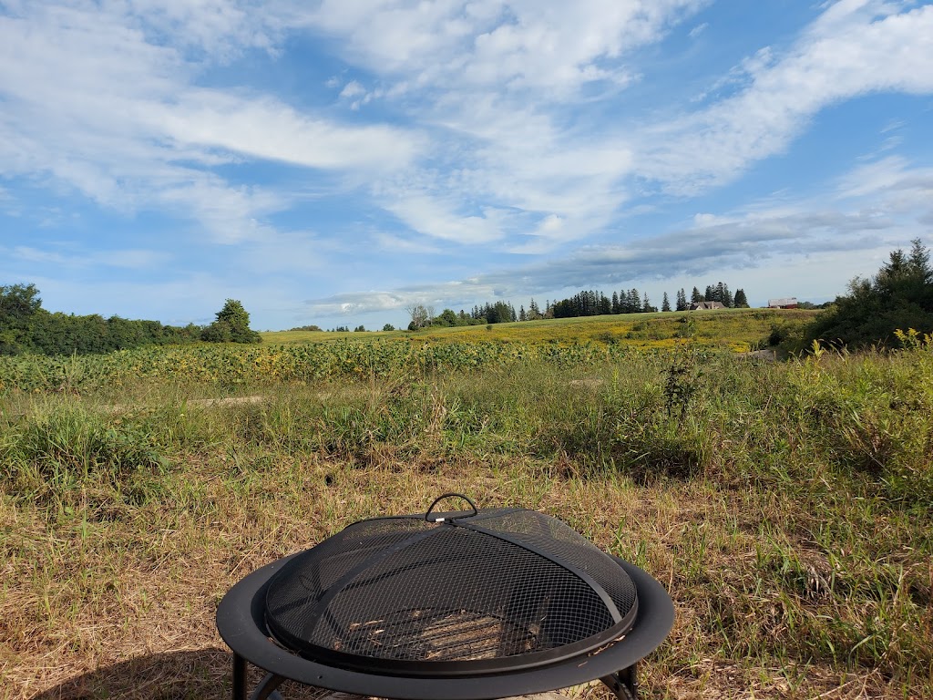 Lifestyles Management Yurt Village | 926 Townline Road Sideroad Entrance, Ashburn, ON L0B 1A0, Canada | Phone: (647) 930-1443