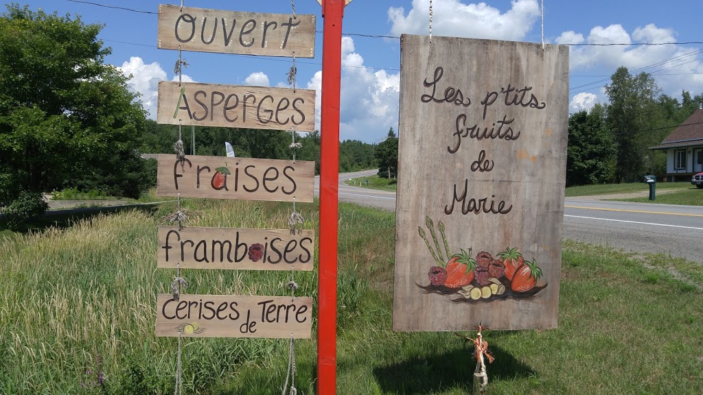 Les petits fruits de Marie | 2475 Chemin du Lac, Saint-Norbert, QC J0K 3C0, Canada | Phone: (450) 836-1702