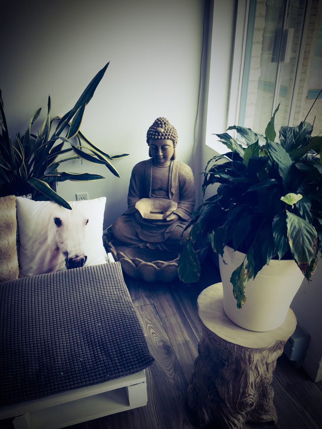 Yoga Lounge Sādhanā | 1480 Boulevard Louis-XIV, Québec, QC G2L 1W7, Canada | Phone: (418) 661-0057