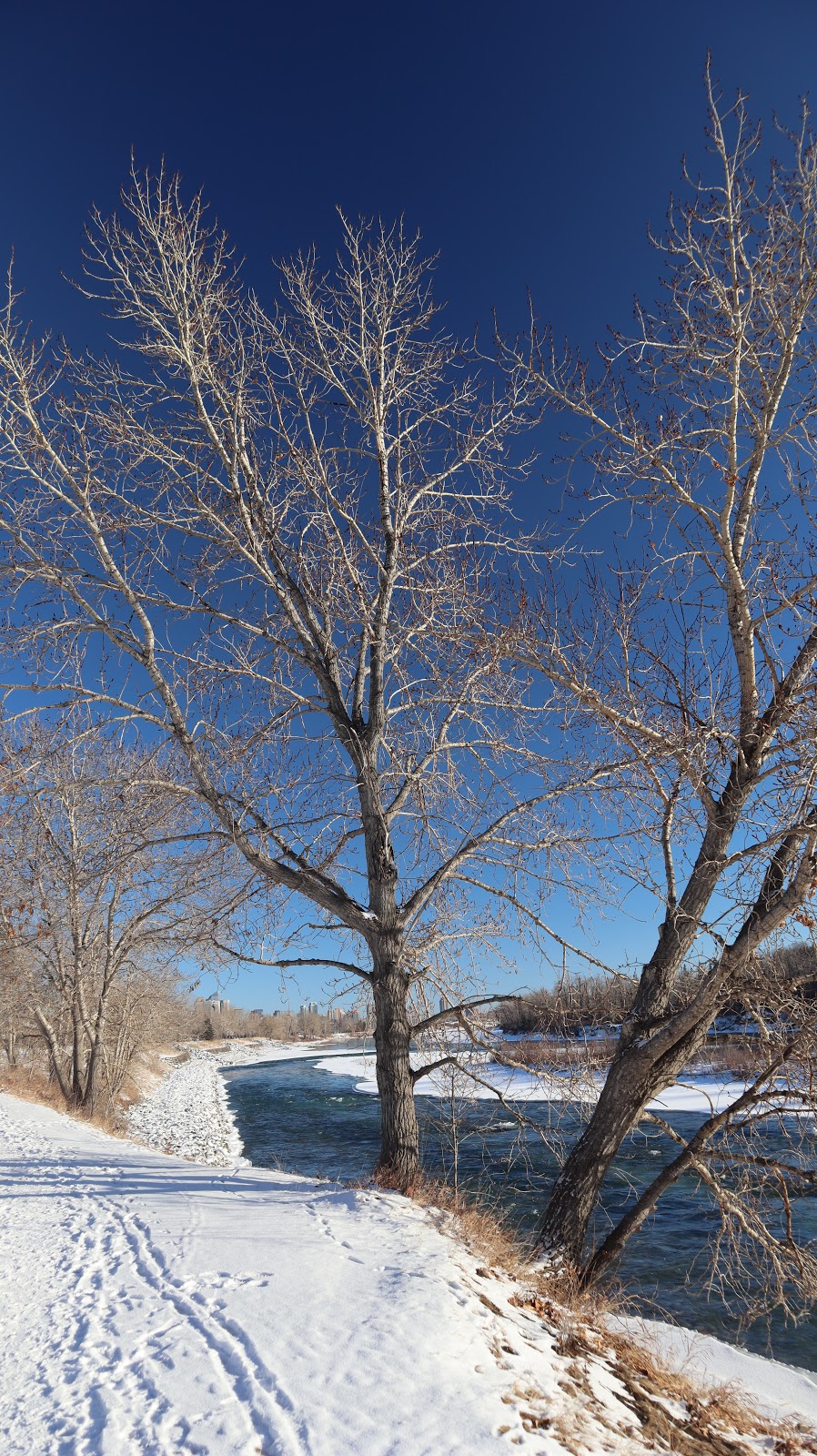 Tourmaline Outdoor Fitness Park | Montgomery, Calgary, AB T3B, Canada