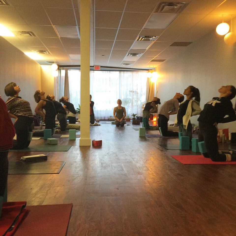 In Fine Feather Yoga | 249 Ottawa St N, Hamilton, ON L8H 3Z4, Canada | Phone: (905) 906-3936