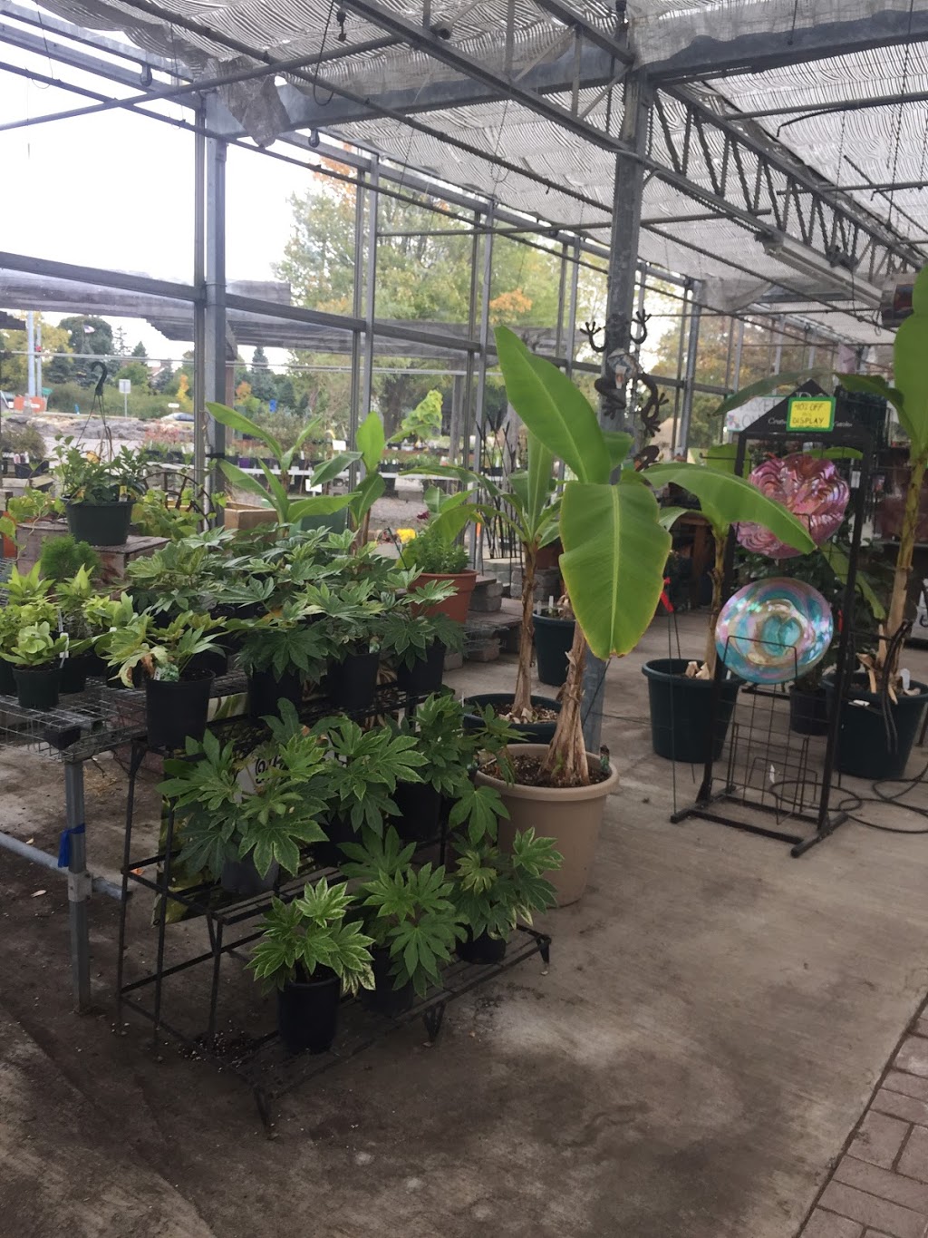 Murray Bros Nurseries and Garden Center | 4399 Transit Rd, Orchard Park, NY 14127, USA | Phone: (716) 662-3860