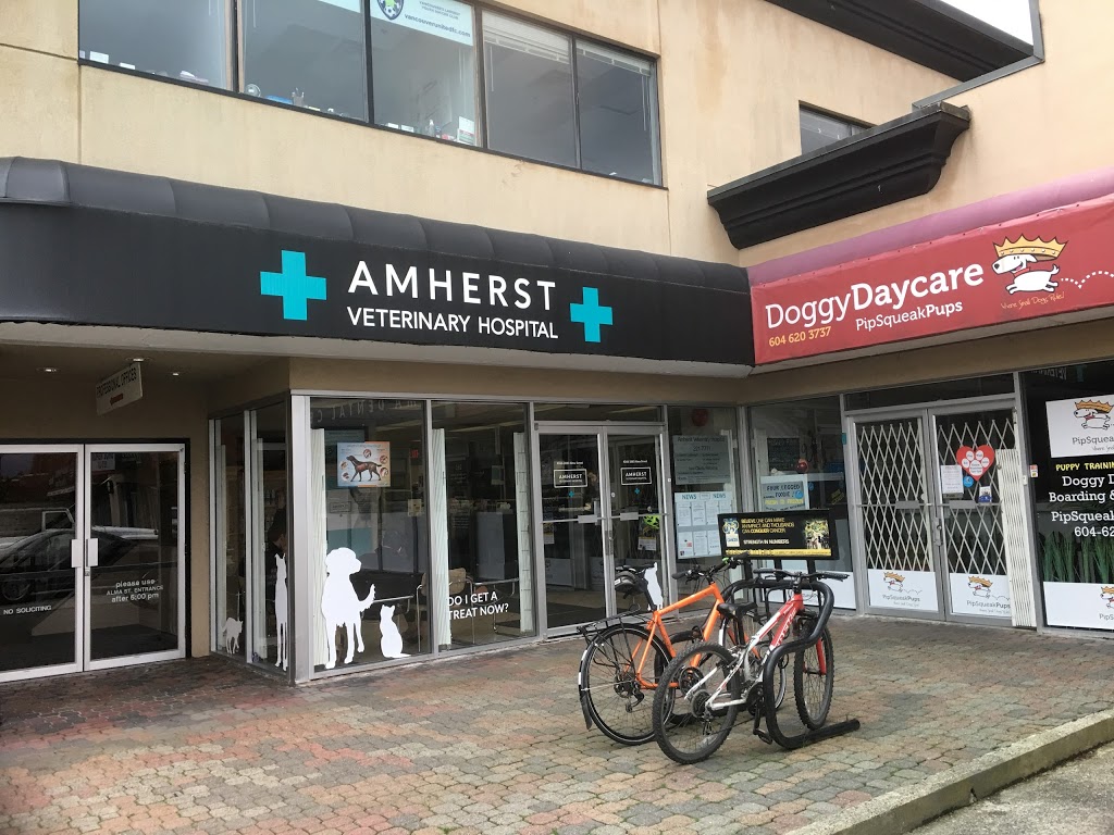 Amherst Veterinary Hospital | 260-2083 Alma St, Vancouver, BC V6R 4N6, Canada | Phone: (604) 221-7771