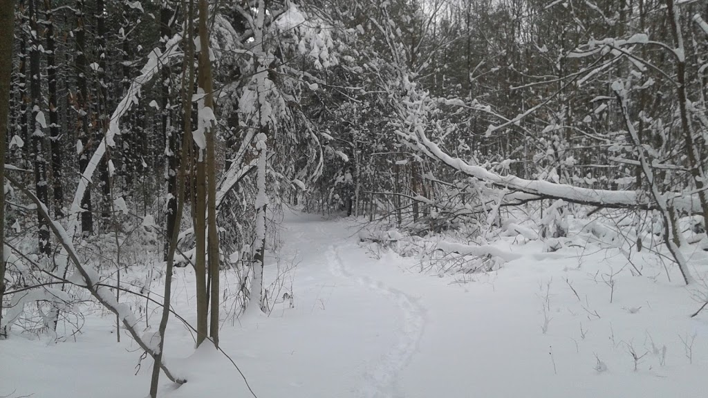 simcoe county forests Patterson tract | Orangeville Caledon Townline, Orangeville, ON L0N, Canada